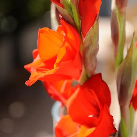 伊萨门酒店 慕尼黑